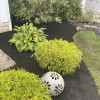 Gallery United Landscape Design Co.